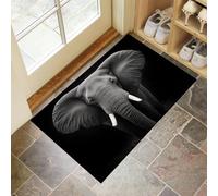 Tapis D'Entrée Éléphant Gris Antidérapant Lavable - Photographier Les Animaux Paillasson Absorbant Noir Soft Comfortable pour Intérieur, Chambre, Cuisine, Couloir (50 X 80 Cm)