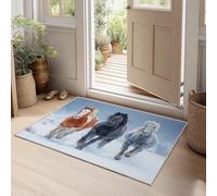 Tapis d'entrée Film Paillasson Intérieur 60 x 90 cm, Tapis de Couloir Animaux Cheval Paysage Enneigé Antidérapant Résistant et Lavable pour Porte, Cuisine, Buanderie, Salon, et Balcon
