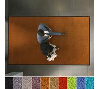Tapis D'Entrée Note 1,6 Rapport Qualité Prix Plusieurs Tailles & Designs