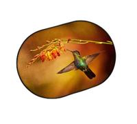 Tapis d'entrée Tropic colibri pour salon, cuisine, maison, salle de bain, colibri, tapis lavable pour intérieur et extérieur, paillasson antidérapant, 40 x 60 cm