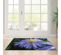 Tapis D'entrée Vert Violet Outdoor Teppich Wohnzimmer Tapis De Couloir Exterieur Polyester Rug Salon Paillasson Extérieur Lavable Tapis De Passage Chambre Antidérapant 150x200cm