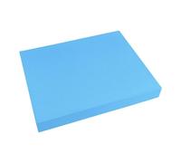 Tapis d'équilibre d'exercice, 50x40 cm Antidérapant Souple Épais, Coussin d'Exercice pour l'Équilibre, Femmes Hommes Maison Gym Sol Yoga Pilates Fitness Renforcement Musculaire