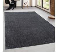 Tapis Design Tapistrend 240 x 340 cm - Gris - Couleur Unique - Effet Laine Doux À Poils Courts Pour Un Confort
