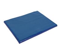 Tapis désinfectant chaussures Kerbl Bleu 85x60 cm