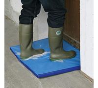 TAPIS DéSINFECTANT (PéDILUVE)2