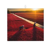 Tapis d'évacuation de cuisine imprimé lycopène - Tapis de séchage super absorbant, facile à nettoyer et séchage rapide