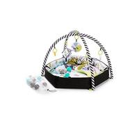 Tapis d'éveil avec arches portique d'activité jouets SmartPlay