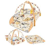 Tapis d'éveil bébé multifonctionnel avec arche - Tapis d'éveil bébé évolutif - Tapis de jeux avec 30 balles + 5 jouets, coussin de positionnement bébé