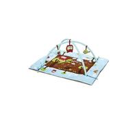 Tapis d'éveil Chouette MULTICOLORE Ludi