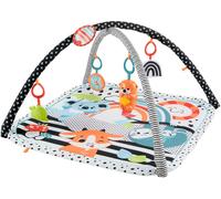 Tapis d'éveil Fisher-Price avec arche de jeu (lumière & musique), Couverture d'éveil dès 0 mois
