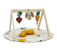 Tiny Love – Tapis d'éveil Luxe Gymini – activités 360°, arches ajustables – Garden of Adventures