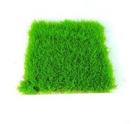 Tapis d'herbe en plastique à petite échelle pour jardin féérique, maison de poupée, cour et construction de scènes (vert)