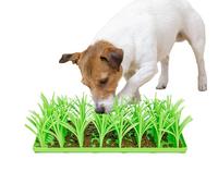 Tapis Dherbe en Silicone pour Chats Et Chiens, DherbeVerte Tapis De Nourriture Lente en Silicone, TapisNourritureMangeoire Lente, Tapisà Renifler, TapisDe Recherche Nourriture pour Chat