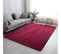 Tapis d'intérieur ultra doux - 100 x 200 cm - Adapté aux enfants - Décoration de chambre à coucher confortable - Parfait pour la décoration de la maison et les aires de jeux.