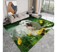 Tapis Doux Antidérapant 60 x 90 cm Animal Chien des Pyrénées Pelouse Tapis de Chambre Poil Ras, Peinture À L’Huile Lavable Antidérapant Moquette, pour Chambre à Coucher Couloirs Salon Cuisine