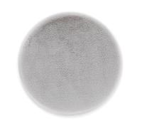 Tapis en Fausse Fourrure Moelleux de Haute qualité - Tapis Salon - Tapis à Poils Hauts Agneau Peau de Mouton Accessoire - Peau Déco Argent Rond Ø 35 cm