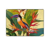 Tapis en flanelle imprimé oiseau de paradis tropical 203,2 x 147,3 cm, tapis de sol doux en mousse à mémoire de forme qui ne perd pas ses poils, tapis de sol chaud et antibruit, pour chambre à coucher