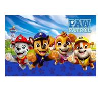 Aymax Tapis décoratif de Chambre Paw Patrol Pat Patrouille 40X60CM