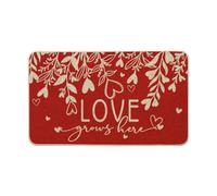 Tapis Entree Anti-Saleté Paillasson l'amour Grandit Ici, Le Cœur Quitte Le Jour De l'amour Durable Tapi Salle De Bain pour Couloir Chambre Déco 40X60Cm