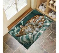 Tapis Entree Chat Orange Endormi Paillasson Exterieur Paillasson Mignon Animal Peint À L'Huile Interieur Antidérapant Lavable Tapis Entree Interieur pour Cuisine Couloir 90 x 150 cm, Bleu Blanc