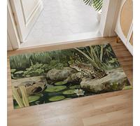 Tapis Entree Grenouille Et Étang Antidérapant Tapis D'Entrée Absorbant Paillasson D'Entree pour Exterieur Entrée Porte D'Entrée 40X60Cm