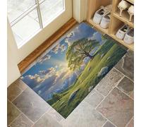 Tapis Entree Interieur Antidérapant Prairie Ouverte,Paillasson Exterieur Entree Lavable En Machine La Lumière Du Soleil Perce Les Nuages, Paillasson Interieur Entrées,Vert Émeraude, 90 X 150 Cm