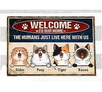 Tapis Entrée Intérieur Bienvenue sur Le Tapis Humoristique Our Home, Chat Personnalisé Tapis De Porte Facile À Nettoyer Anti-Poussière Tapis De Sol Antidérapant pour Cour Jardin D'Entrée 40X60Cm