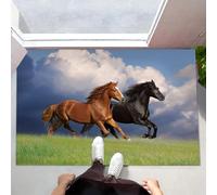 Tapis Entree Interieur Cheval Galopant dans Les Prairies, Tapis D'entrée Antidérapant Lavable Nature Animaux,Paillasson Absorbant Bleu, Paillasson Interieur 40 x 60 cm pour Chambre Couloi