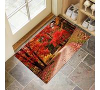 Tapis Entree Interieur Forêt Route, Tapis D'entrée Antidérapant Lavable Automne Feuilles Qui Tombent,Paillasson Absorbant Rouge, Paillasson Interieur 60 x 90 cm pour Chambre Couloi