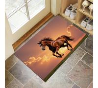 Tapis Entree Interieur Paillasson 60 x 90 cm, Tapis Coucher De Soleil Cheval Au Galop Antidérapant Et Lavable en Machine Paillasson Réalisme Animal Romantique pour Entrée Couloir, Cuisine, Porte