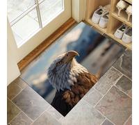 Tapis Entree Interieur, Paillasson Lavable en Machine, Montagnes Enneigées Aigles De Mer, Représentations Réalistes d'animaux, à Poils Courts, Antidérapant Et Doux, Idéal pour Couloir 45 x 75 cm