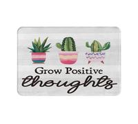 Tapis Entree Lavable Tapis De Porte Cultivez des Pensées Positives Cactus Succulente Antidérapant Tapi Entrée pour Terrasse Entrée Cuisine 40X60Cm