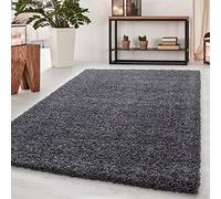 Tapis épais à poils longs 50 mm pour salon, couleur unie, forme rectangulaire ou ronde, Polypropylène, gris, 200x290 cm