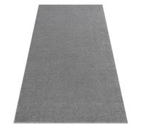 Tapis ETON PLUS gris clair, unicolore, uniforme, uni - 300x300 cm