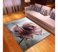Tapis Exterieur Poudre De Rose Grise Tapis Entree Polyester Tapis de Couloir Tapis Couloir Lavable Paillasson Interieur Tapis Entree Interieur Antidérapant Tapis Salon Paillasson Exterieur 100x150cm
