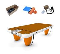 Tapis flottant gonflable antidérapant multi-personnes pour piscine, lac, plage, océan, avec sac de transport portable, 3 x 2 m