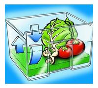 WENKO Tapis fraicheur frigo - pour la conservation des fruits et légumes, Mélamine, 46 x 29.5 cm, Vert