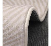 Tapis Grand Salon Poil Ras Lavable, Antidérapant et Doux, idéal pour Salle à Manger, Chambre, Cuisine et Bureau Plume Bleue Abstraite Moderne 200 x 250 cm