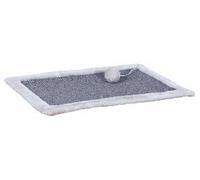 Tapis Griffoir Gris