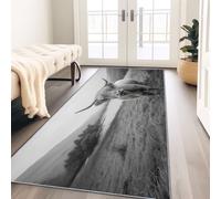 Tapis Gros Plan sur des Vaches Highland Noires avec Dos Antidérapant 80x240 cm Tapis Imprimé pour Entrée, Couloir et Corridor,à Poils Courts, Doux, Lavable, Light Style Tapis Décoratif Gris