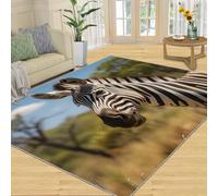 Tapis Home Decoe zébré Noir Blanc, décor Vert de Prairie Tapis antidérapants lavables, Animal zèbre des prairies appliqué dans la Chambre du Salon (50x80cm)