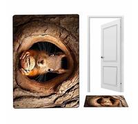 Tapis Illusion 3D | Tapis Doux Antidérapant à Séchage Rapide pour Chien et Écureuil - 3D Illusion d'Optique - Pour Entrée Chambre Couloirs Maison Fête Halloween Thanksgiving Réveillon du Nouvel