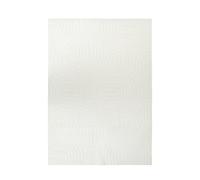 Atmosphera Créateur d'intérieur - Tapis Imitation Fourrure "Arka" 60x90cm Ivoire Beige
