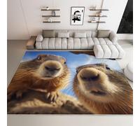 Tapis Imprimé Antidérapant 120 x 170 cm, Tapis Nature Photographie Animaux Marmottes pour Adolescent Garçon Fille Adulte - Paillasson pour Salon Chambre à Coucher Bureau Décoration, Bleu