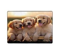 Tapis imprimé Golden Retriever pour salon, chambre à coucher et bureau - 203,2 x 147,3 cm - Doux et antidérapant - Moderne