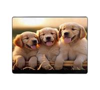 Tapis imprimé Golden Retriever pour salon, chambre à coucher et bureau - Tapis de sol doux et antidérapant - Tapis d'intérieur moderne - 160 x 122 cm
