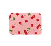 Tapis Interieur Cerise Mignonne Antidérapant Home Tapis Lavable Paillasson pour Intérieur Exterieur Chambre À Coucher 40X60Cm