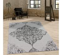 Tapis Intérieur Extérieur Vintage Design Décorations Paisley Motif Élégant Gris