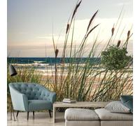 Tapis intissé 3D représentant des dunes, une plage, la mer Baltique et un paysage naturel, idéal pour un salon ou une chambre. Dimensions : 350 cm x 256 cm. Affiche - Giclee - Tableau sans cadre
