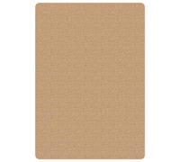 Tapis en jute avec endos en latex 200x300 cm Marron clair G